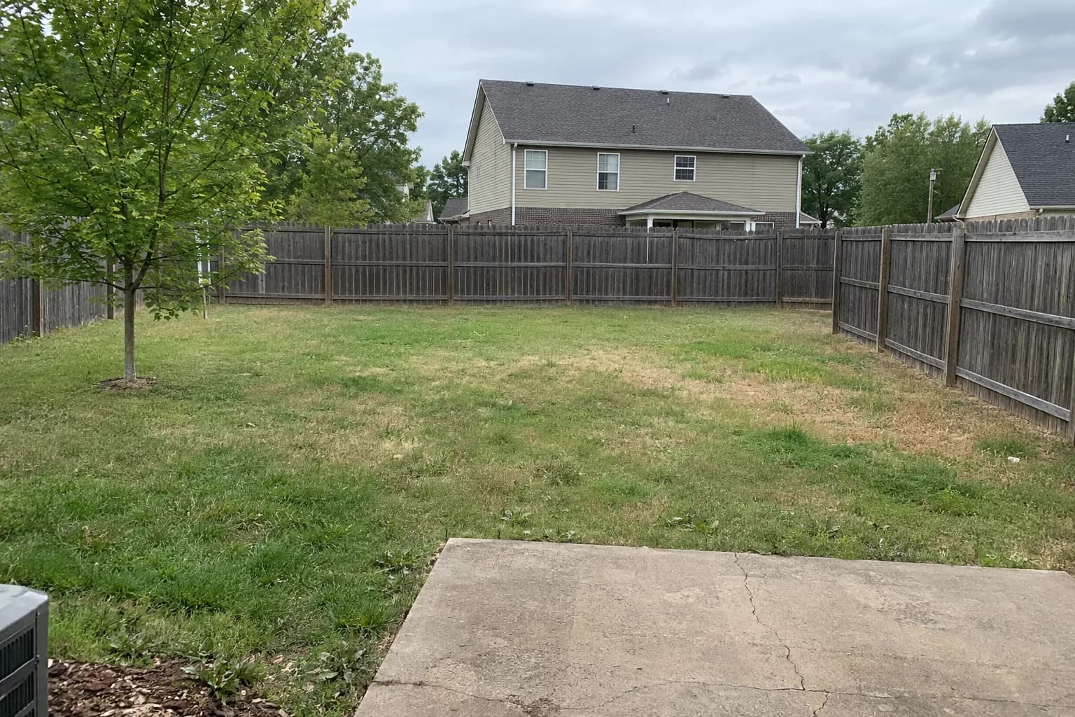 A backyard before the redesign